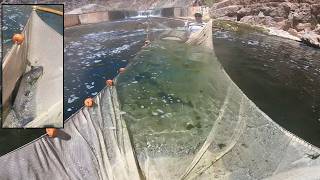 Lower Virgin River Seining Compilation
