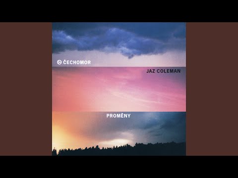 Vetricek - The breeze - radiomix