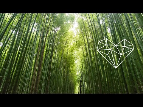 Elif & Sanoi - Bamboo Forest (Original Mix) [Organic House / A Tribe Called Kotori]