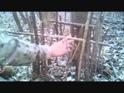 Primitive Trap - Reverse Figure 4