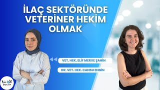 Veteriner Hekimliği Sektörleri | İlaç Sektöründe Veteriner Hekim Olmak