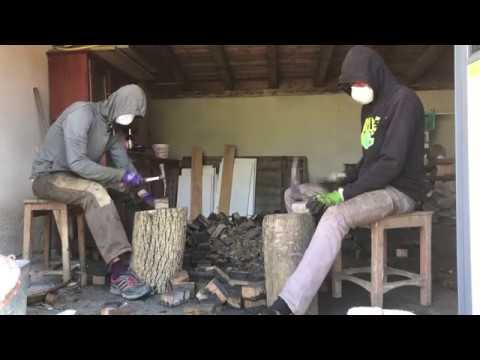 Maxi Pongratz feat. Michael von Mücke - (HannslaCover) Schwammerljaga