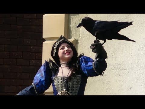 Efteling  Raveleijn 2022