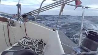 Sail On Sailor - The Bluetones