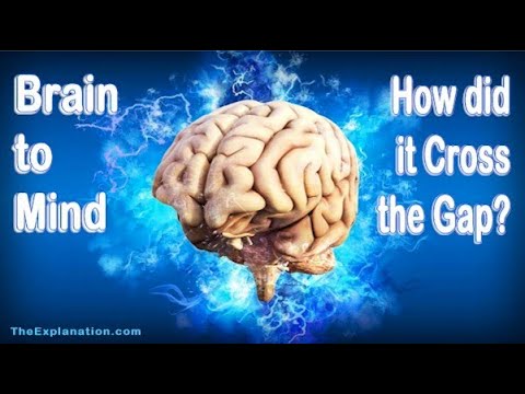 Unlocking the Mind: Can the Physical Brain Create the Spiritual?