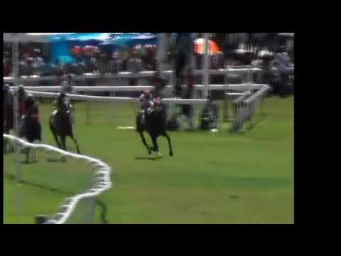 BTC: 2018 Sandy Lane Gold Cup - Race 5