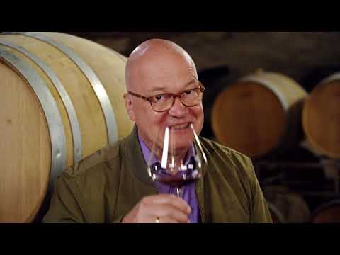 WINTER Weingut Guide 07 Kuenstler MIX