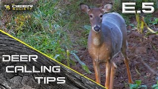 Deer Calling Tips - E.5 &quot;Understanding Basic Doe Communication&quot;