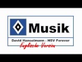 HSV Musik : # 72 » David Hanselmann - HSV ...