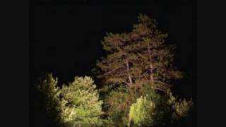 Department of Eagles - Balmy Night