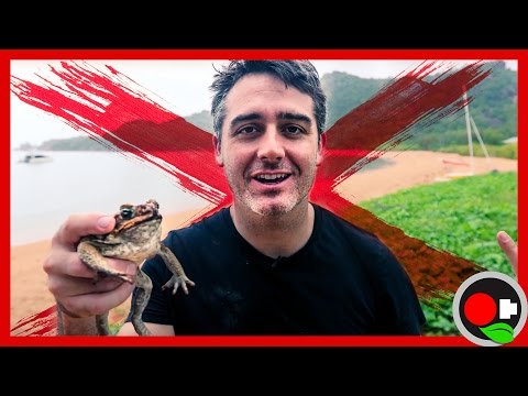 Invasive Species - Fight 'em or Throw in the Towel?