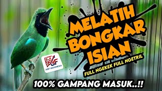 Download lagu 100% Mudah Masuk !! MASTERAN CUCAK IJO FULL ISIAN TEMBAKAN MEWAH‼️ mp3 Download lagu 100% Mudah Masuk !! MASTERAN CUCAK IJO FULL ISIAN TEMBAKAN MEWAH‼️ mp3