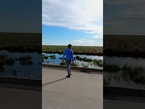 Rio Rufino _Puente ripio Prox Coronel Rosetti_ Santa Fe _ a 20 km al Este Rufino _ S Fe _ Sur Ruta 7