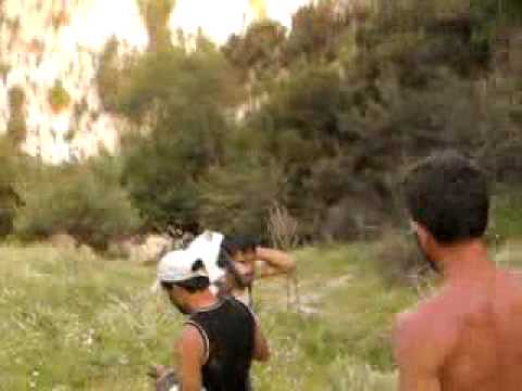 lali ceti albani sokoli dhe cunat e tjer