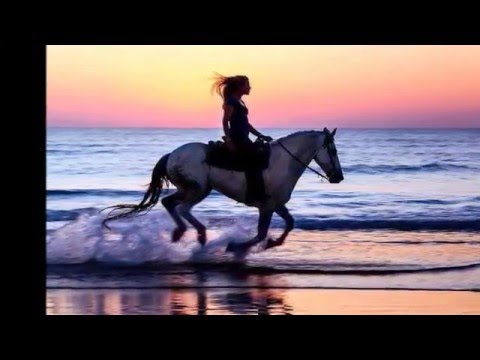 Ne mou ti reci sto je tuga Hari i Nina