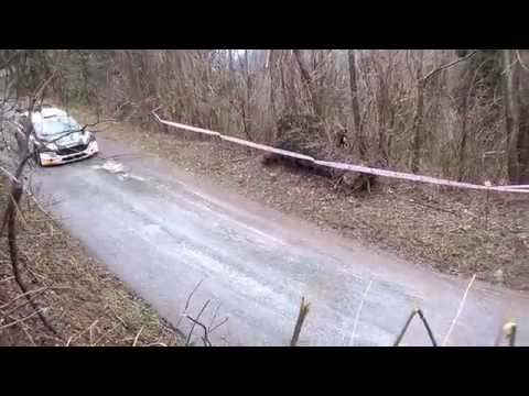 38° Rally del Ciocco e Valle del Serchio 2015, P.S. Renaio 2 , Ciava-Ciucci su Ford Fiesta R5 SHOW