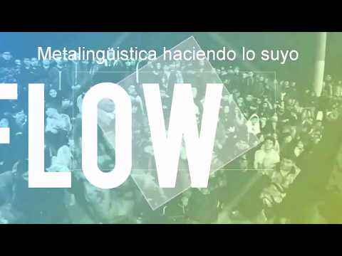 Metalinguistica Haciendo lo suyo