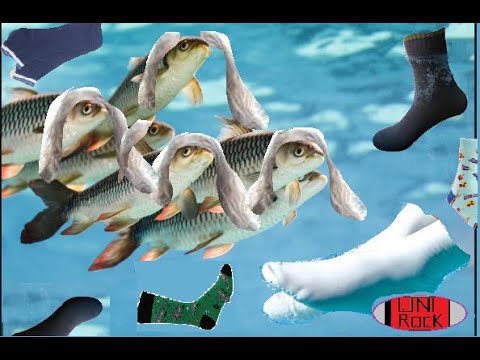 The Mishaps of McBoomer 2019-2020