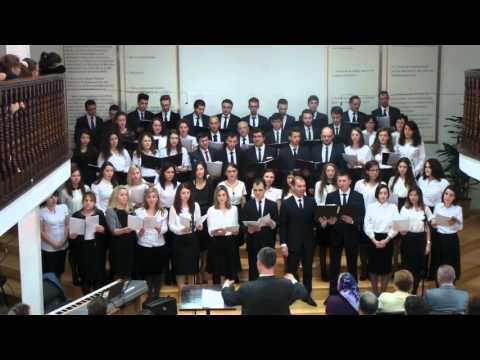 Amicus Bucuresti - Multele-mi greseli