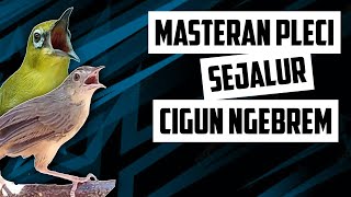 Download lagu MASTERAN PLECI SEJALUR TEMBAKAN CIGUN NGEBREM - #masteranpleci mp3