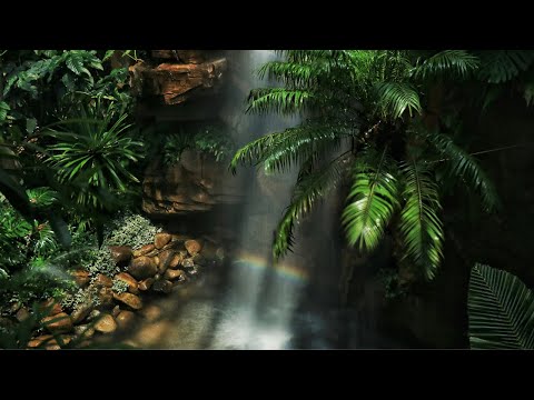 Iyakuh - Morning Light ~ NUMA ( Organic Downtempo, Folktronica, Chillout )