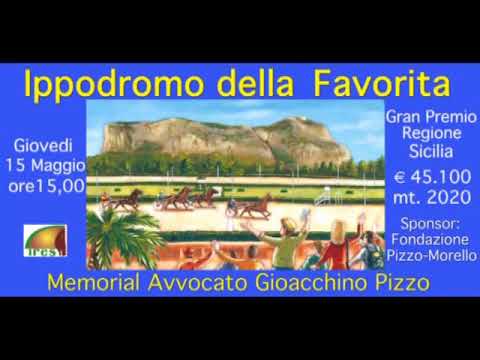 LVIII G.P.Regione Sicilia - Mem. Avv. Gioacchino Pizzo - 15 Maggio 2014