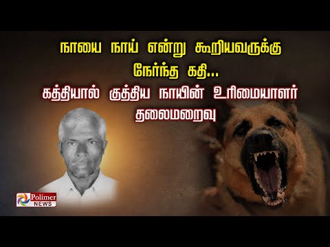 நாயை நாய் என்று கூறியவருக்கு நேர்ந்த கதி... கத்தியால் குத்திய நாயின் உரிமையாளர் தலைமறைவு..!
