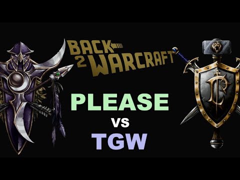 WC3 - B2W Cup #2 - Grand Final: [NE] Please vs. TGW [HU]