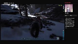 ARK