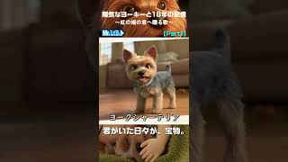 Part1｜家族になった日｜陽気なヨーキーと18年の記憶～虹の橋の君へ贈る歌～【Mr.シュミット】 #愛犬との暮らし #AIオリジナルソング #ペットロス