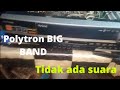 Polytron Big Band Home Theater No Sound