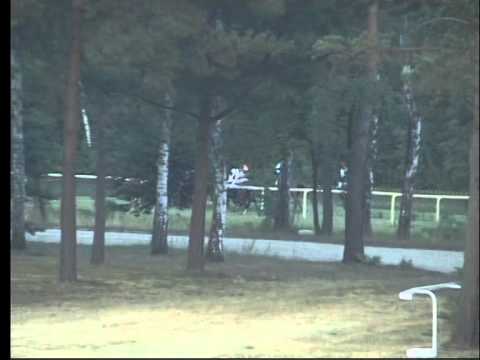 LL, 8. 8. 2015, 7. dostih - CENA SPOLEČNOSTI ELTRADING