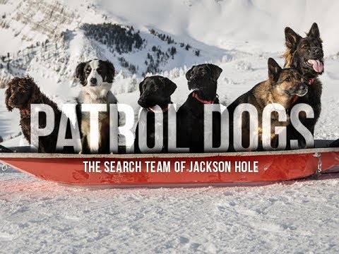 Patrol Dogs- The Search Team of Jackson Hole