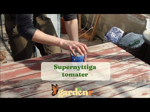 Super-useful tomatoes - Gardenhacks by GardenR