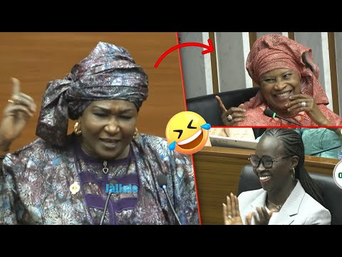 L’intervention de cette députée fait éclater de rire toute la salle