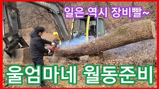 울 엄마네 월동준비 일은역시 장비빨~농업용 포크레인으로 화목보일러,화목난로, 장작준비~,농업용굴삭기,엔진톱,…
