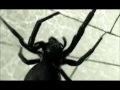 Idea V The Player Makdee Promo