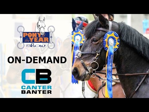Day 2 - JC Grand Prix Qualifier - Pony of the Year 2017