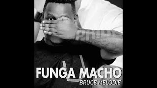 Bruce Melodie Funga Macho Official cover instrumental