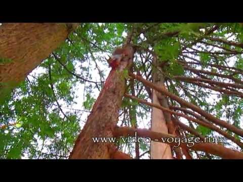 Кисловодск