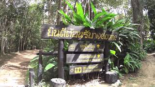 preview picture of video 'Hot Spring in Pai, Pam Bok Waterfall'
