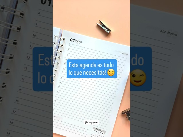 Vídeo relacionado con POPRUN Agenda 2025 2026 Día Por Página 21,5 x 14,5 cm, Planner Diaria con Tapa Dura 12 Meses de Ago.2025 a Jul.2026, Banda Elástica, 80 GSM Papel, Verde Medianoche