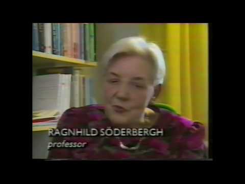 Rapport SVT 1991 Öjaby förskola daghem Skriva