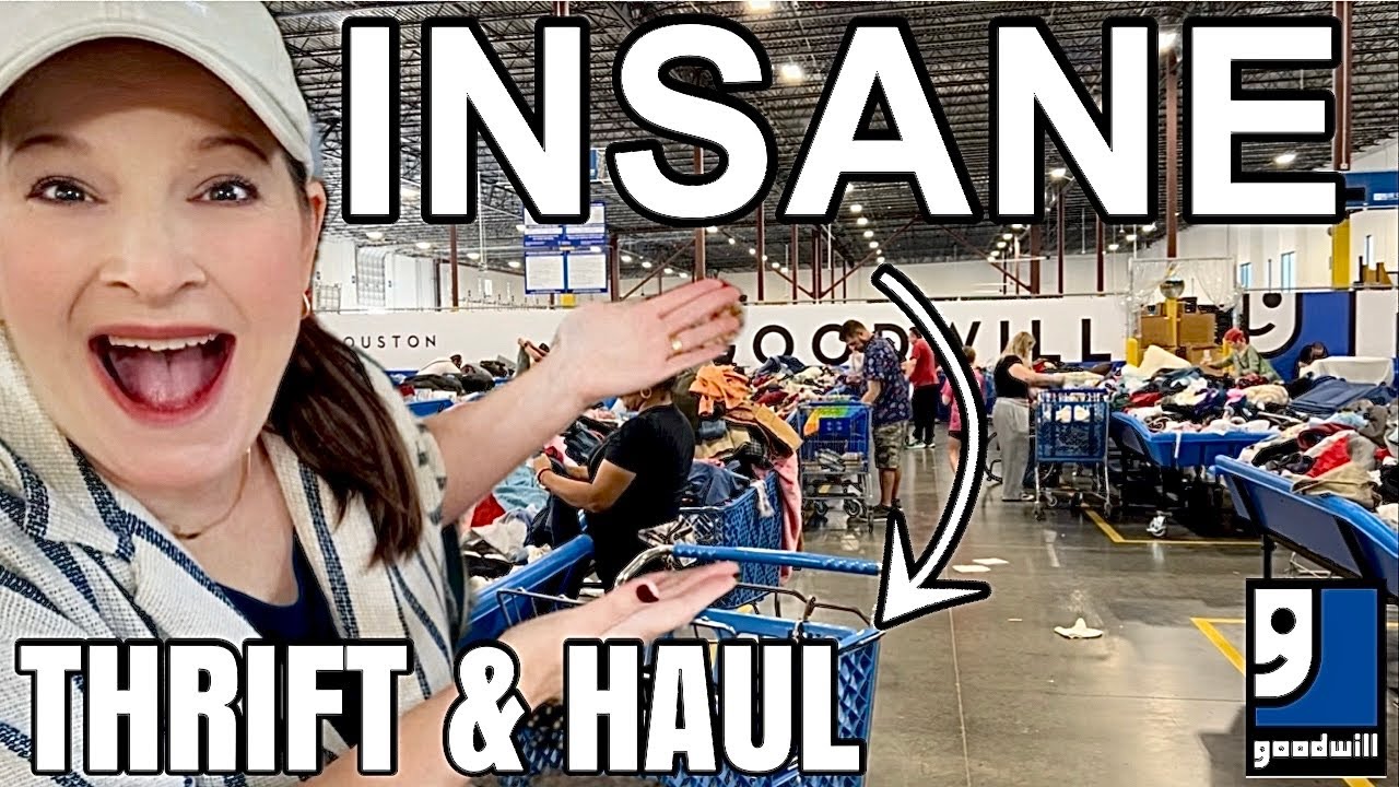 INSANE Goodwill Bins Thrifting! My BIGGEST Thrift Haul EVER 