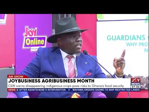 Agribusiness Month: CSIR warns disappearing indigenous crop poses risks to Ghana's food security