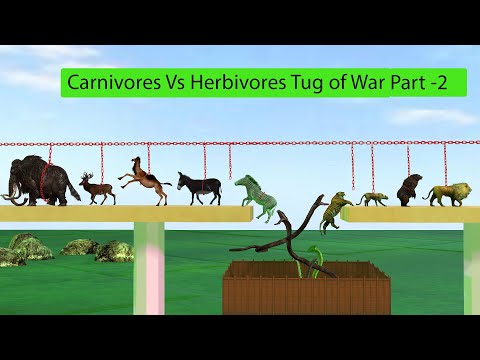 TUG of WAR Carnivore vs Herbivore part 2 - Animal Revolt Battle Simulator | lion vs elephant