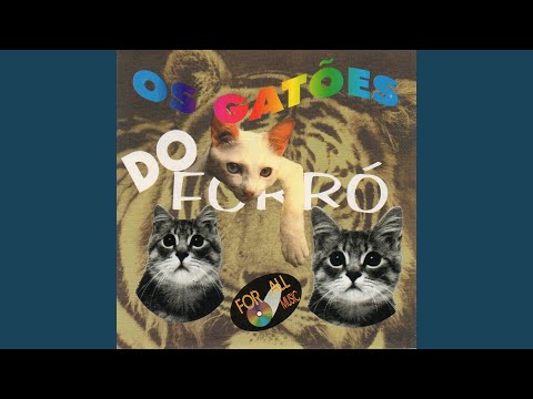 Foi Você Quem Quis Assim