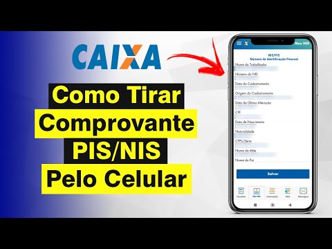 Vídeo: Extrato NIS: perguntas e respostas