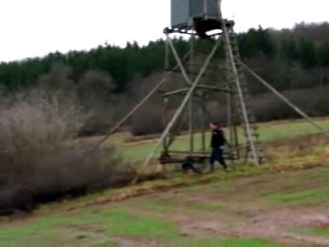 Wehretal: Skelettierter Kopf im Wald entdeckt