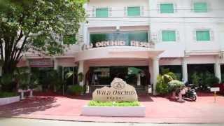 Wild Orchid - Angeles City